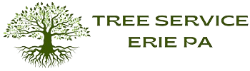 Erie PA Tree